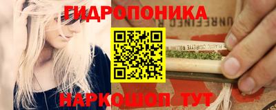 крисы Волжский