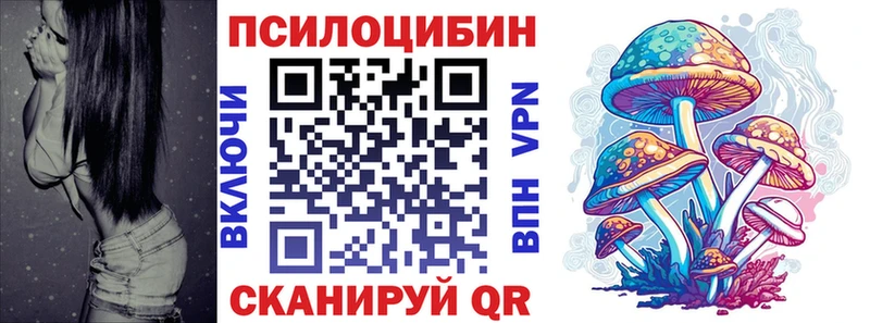 блэк спрут ONION  сколько стоит  Камышлов  Галлюциногенные грибы прущие грибы 
