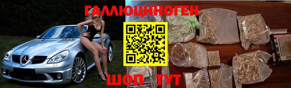 Галлюциногенные грибы MAGIC MUSHROOMS  наркошоп  Камышлов  Вход с VPN  Галлюциногенные грибы GOLDEN TEACHER 